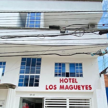 Hotel Los Magueyes Bucaramanga Exteriér fotografie